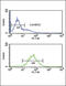 Steroid 5 Alpha-Reductase 3 antibody, 61-869, ProSci, Flow Cytometry image 