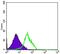 Killer Cell Lectin Like Receptor D1 antibody, A03257-1, Boster Biological Technology, Flow Cytometry image 