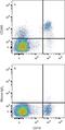 CD200 Molecule antibody, MAB27241, R&D Systems, Flow Cytometry image 