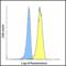 T Cell Immunoreceptor With Ig And ITIM Domains antibody, LS-C669097, Lifespan Biosciences, Flow Cytometry image 