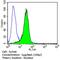 O-6-Methylguanine-DNA Methyltransferase antibody, MA5-13506, Invitrogen Antibodies, Flow Cytometry image 
