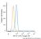 BRCA1 DNA Repair Associated antibody, NB100-600C, Novus Biologicals, Flow Cytometry image 