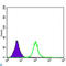 Apolipoprotein B antibody, LS-C812502, Lifespan Biosciences, Immunofluorescence image 