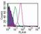 TOR antibody, NBP2-24451, Novus Biologicals, Flow Cytometry image 