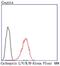 Cathepsin L antibody, NBP2-67216, Novus Biologicals, Flow Cytometry image 