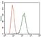 Glypican 3 antibody, NBP2-37483, Novus Biologicals, Flow Cytometry image 