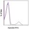 Major Histocompatibility Complex, Class II, DQ Beta 1 antibody, 11-9881-41, Invitrogen Antibodies, Flow Cytometry image 