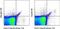 C-Type Lectin Domain Containing 9A antibody, 12-5975-80, Invitrogen Antibodies, Flow Cytometry image 