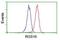 Regulator Of G Protein Signaling 16 antibody, NBP2-01584, Novus Biologicals, Flow Cytometry image 