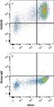 S100 Calcium Binding Protein A9 antibody, AF5578, R&D Systems, Flow Cytometry image 
