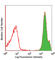 Cytokine Receptor Like Factor 2 antibody, 322804, BioLegend, Flow Cytometry image 