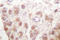 RAD52 Homolog, DNA Repair Protein antibody, LS-C176555, Lifespan Biosciences, Immunohistochemistry paraffin image 