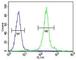 Interleukin 12B antibody, F40666-0.4ML, NSJ Bioreagents, Immunohistochemistry paraffin image 