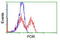 Cytochrome P450 Oxidoreductase antibody, LS-C784389, Lifespan Biosciences, Flow Cytometry image 