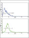 ATP Binding Cassette Subfamily C Member 1 antibody, 62-353, ProSci, Flow Cytometry image 