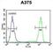 Tectonin Beta-Propeller Repeat Containing 1 antibody, abx033014, Abbexa, Flow Cytometry image 