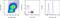 Arginase 1 antibody, 12-3697-82, Invitrogen Antibodies, Flow Cytometry image 