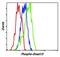 SMAD Family Member 5 antibody, MA5-15124, Invitrogen Antibodies, Flow Cytometry image 