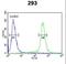 Espin antibody, LS-C167826, Lifespan Biosciences, Flow Cytometry image 
