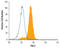 Protein Kinase C Theta antibody, MAB4368, R&D Systems, Flow Cytometry image 