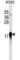 Eukaryotic Translation Initiation Factor 4E Binding Protein 1 antibody, abx025305, Abbexa, Western Blot image 