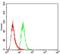 Slingshot Protein Phosphatase 1 antibody, NBP2-52569, Novus Biologicals, Flow Cytometry image 