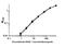 B-Raf Proto-Oncogene, Serine/Threonine Kinase antibody, GTX84814, GeneTex, Enzyme Linked Immunosorbent Assay image 