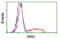 Bridging Integrator 3 antibody, LS-C172420, Lifespan Biosciences, Flow Cytometry image 