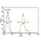 CCAAT Enhancer Binding Protein Alpha antibody, abx034388, Abbexa, Flow Cytometry image 