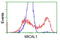 NEDD9-interacting protein with calponin homology and LIM domains antibody, LS-C115755, Lifespan Biosciences, Flow Cytometry image 