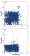 Chemerin Chemokine-Like Receptor 1 antibody, FAB362P, R&D Systems, Flow Cytometry image 