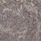 CAMP Responsive Element Binding Protein 1 antibody, MBS128469, MyBioSource, Immunohistochemistry paraffin image 