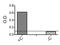 Interleukin 22 Receptor Subunit Alpha 2 antibody, PA5-21490, Invitrogen Antibodies, Enzyme Linked Immunosorbent Assay image 