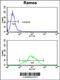 Electron Transfer Flavoprotein Dehydrogenase antibody, 62-516, ProSci, Flow Cytometry image 