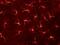 Lymphocyte Antigen 75 antibody, MA5-16889, Invitrogen Antibodies, Immunofluorescence image 