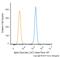 Synuclein Alpha antibody, NBP1-05194, Novus Biologicals, Flow Cytometry image 
