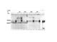 Aryl Hydrocarbon Receptor antibody, NB100-128, Novus Biologicals, Western Blot image 
