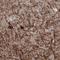 Neurofilament Medium antibody, NBP2-46618, Novus Biologicals, Immunohistochemistry frozen image 