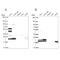 Ribosomal L24 Domain Containing 1 antibody, PA5-64058, Invitrogen Antibodies, Western Blot image 