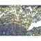 Toll Like Receptor 2 antibody, LS-C387817, Lifespan Biosciences, Immunohistochemistry paraffin image 