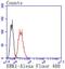 Erk1 antibody, NBP2-67378, Novus Biologicals, Flow Cytometry image 