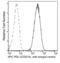 PD-L1 antibody, 10084-MM36-A, Sino Biological, Flow Cytometry image 