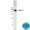 Cadherin 17 antibody, AF8524, R&D Systems, Immunohistochemistry frozen image 