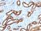 Cadherin 16 antibody, M07518, Boster Biological Technology, Immunohistochemistry paraffin image 