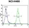 Ataxin 7 Like 2 antibody, LS-C156686, Lifespan Biosciences, Flow Cytometry image 