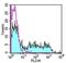 KLRD1 antibody, 12-0949-42, Invitrogen Antibodies, Flow Cytometry image 