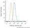 DNA Methyltransferase 3 Alpha antibody, NB120-13888APC, Novus Biologicals, Flow Cytometry image 