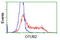 OTU Deubiquitinase, Ubiquitin Aldehyde Binding 2 antibody, TA501945, Origene, Flow Cytometry image 