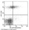 Cytotoxic And Regulatory T Cell Molecule antibody, 11975-MM08-P, Sino Biological, Flow Cytometry image 
