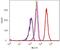 Survivin antibody, 700387, Invitrogen Antibodies, Flow Cytometry image 